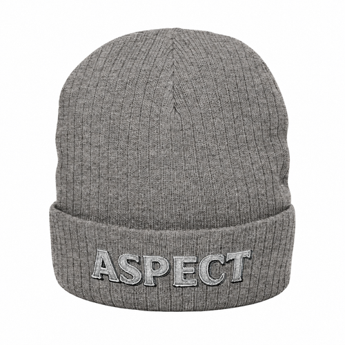 Midnight Beanie — ASPECT